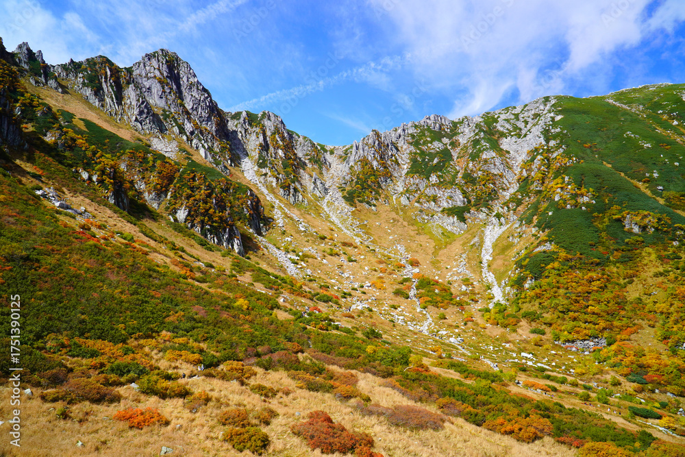 Naklejka premium 千畳敷カールの紅葉