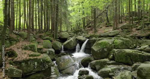 Serene forest stream with small waterfalls cascades over mossy rocks in a lush woodland.