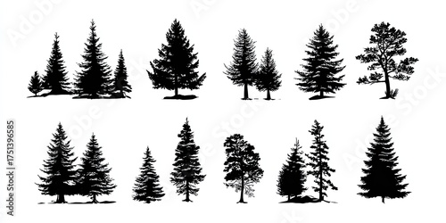 Silhouetted Evergreen Trees Illustration Black and White Design Elements on White Background