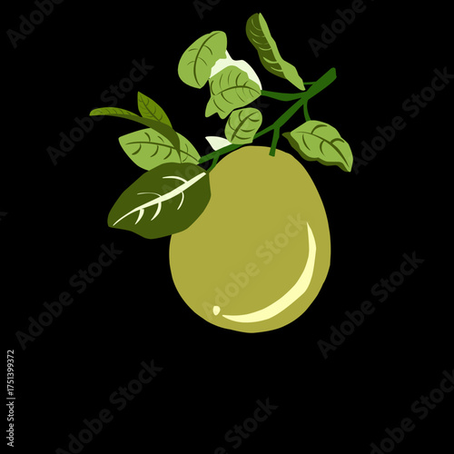 illustration of a delicious pear