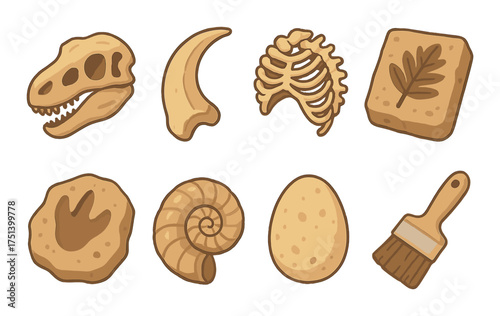 Dinosaur fossils collection with bones shells prints and archaeology tools