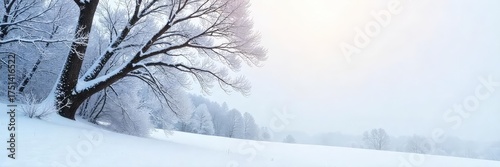 Stark, snow-covered branches reach towards a pale winter sky The landscape is devoid of leaves, revealing a raw, exposed beauty A sense of quiet solitude pervades the scene , white, bleak
