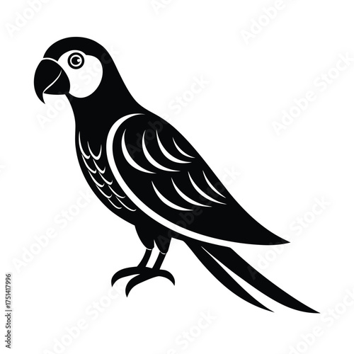 vector illustration of a bird