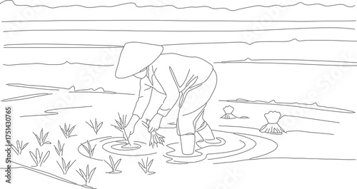 Line Art Handdrawn Rice Farmer Planting Seedlings in Rice Field Illustration