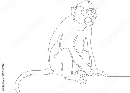Minimalist Outline Sitting Macaque Monkey Primate Animal Isolated Line Art