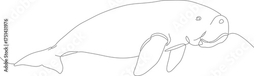 Minimalist Line Drawing Dugong Illustration Aquatic Mammal Marine Life Artwork