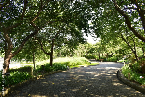 Podobny obraz