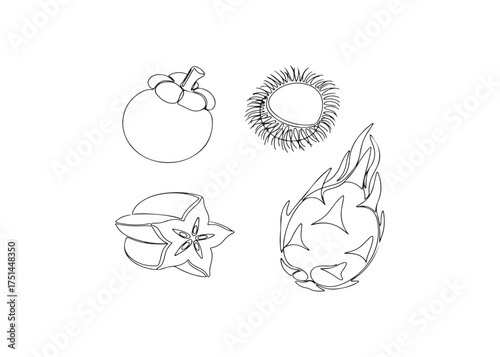 Simple line art illustration of a halved dragon fruit. A minimalist outline sketch of an exotic pitaya, isolated for design