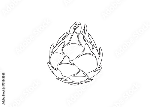 Artichoke Outline A simple line illustration of the artichoke plant used for cooking
