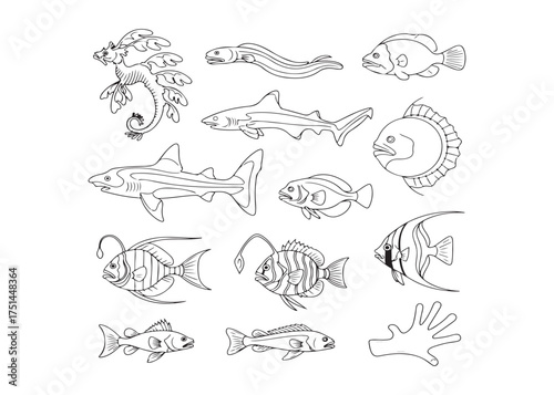 A diverse collection of marine life line art illustrations, featuring various fish species, shark, and seahorse for coloring pages