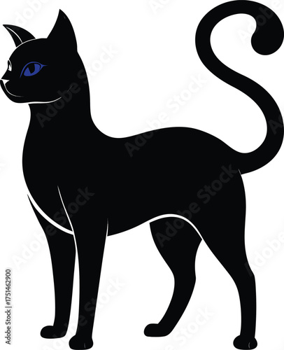 Elegant black cat with striking blue eyes standing gracefully