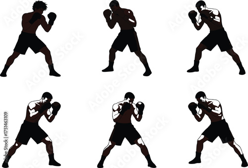 Boxer silhouette poses, boxing stance illustration, athletic fighter vector, muscle anatomy highlight, combat training artwork, sports action design, fitness concept