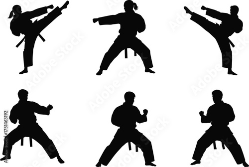 Martial arts silhouette vector, black fighters in action, traditional uniform poses, high kick and punch stances, self-defense sport illustration, EPS artwork