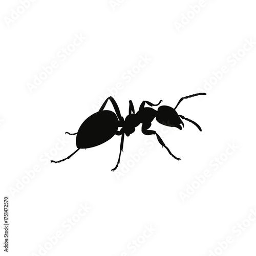 Silhouette of a solitary ant in sharp focus symbolizing nature insect life and the miniature world often overlooked isolated on white background Vector Illustration