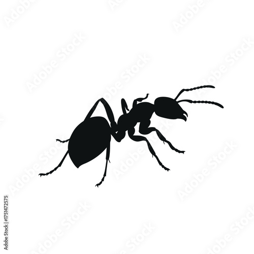 Silhouette of a black ant in profile view showing detailed legs and antennae for nature exploration isolated on white background Vector Illustration