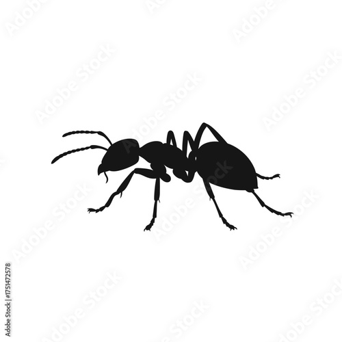 Detailed silhouette of a single black ant isolated on a for design projects isolated on white background Vector Illustration