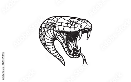 Aggressive Black and White Viper Snake Head Illustration with Open Mouth and Exposed Fangs