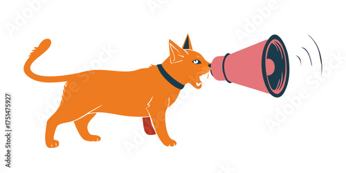 PNG A cat holding a megaphone photography animal pet.