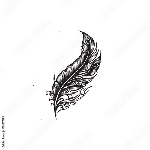Detailed Black and White Decorative Feather Illustration with Intricate Swirls and Peacock Eye Motifs