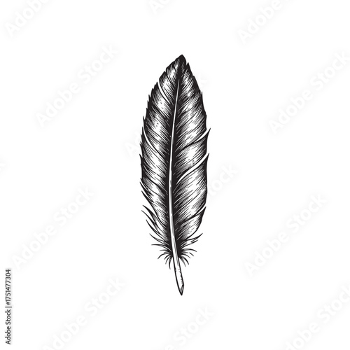Detailed Hand-Drawn Single Feather Illustration in Vintage Engraving Style on White Background