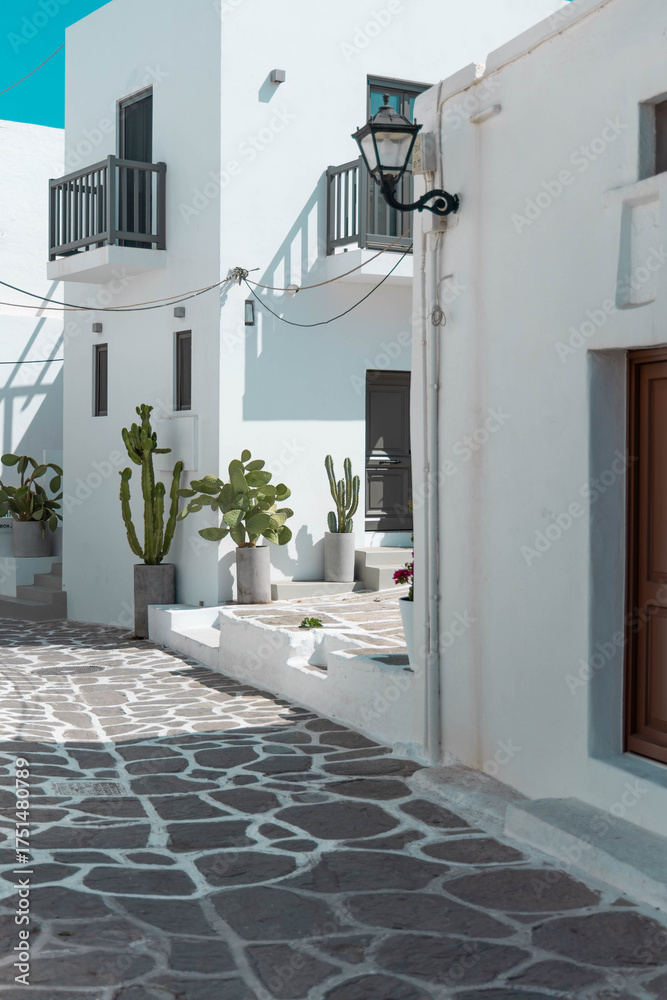 Fototapeta premium Traditional house in greek island village