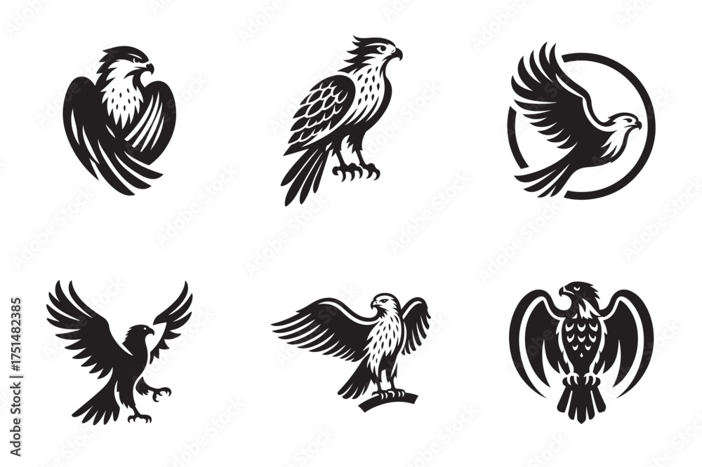 Naklejka premium Collection of stylized falcon and eagle illustrations