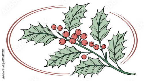 Christmas holly berry illustration vector design for holiday season greeting card and decoration use
