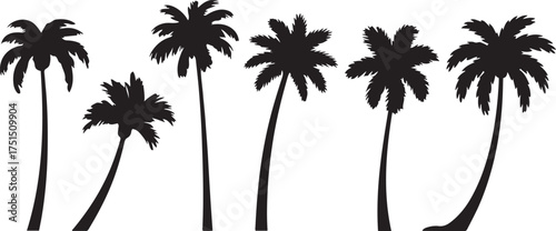Palm Tree Silhouettes Tropical Seaside Design Isolated on Transparent Background