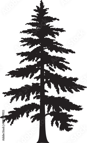Pine Tree Silhouette Evergreen Forest Coniferous Woodland Nature Scenery Symbol