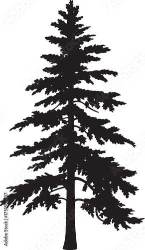 Pine Tree Silhouette Evergreen Forest Coniferous Woodland Nature Scenery Symbol