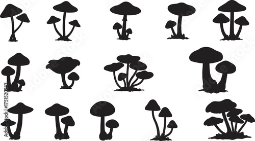Silhouette mushrooms set, forest fungi clipart, black mushroom icons collection, nature botanical vector, magic mushrooms illustrations, isolated graphic elements