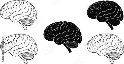 Human brain illustration set, neuroscience anatomy drawing, psychology concept, medical education graphic, black and white brain icons, cognitive science design collection