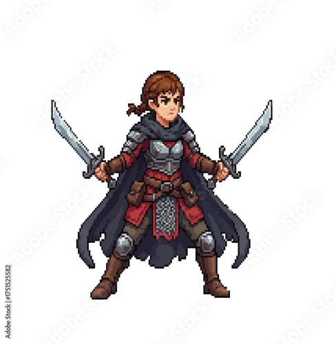 pixel art female warrior dual wielding swords fantasy illustration