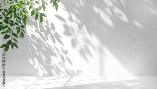 白い背景におしゃれな葉っぱの影