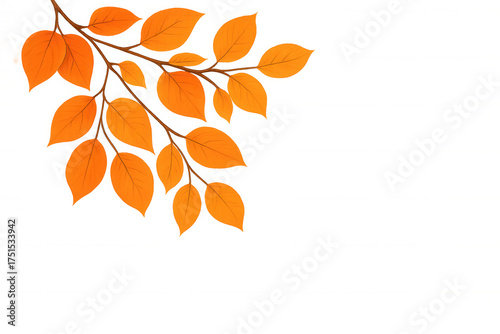 Autumn leaves branch with vibrant orange foliage displaying the fall season on a transparent background