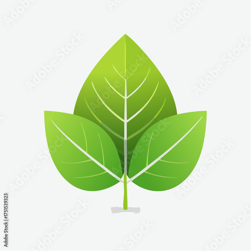 A stylized illustration of three vibrant green leaves with prominent white veins against a plain background.