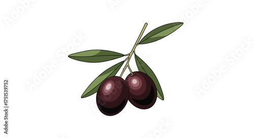 Two ripe olives hang from a green olive branch with a few leaves.