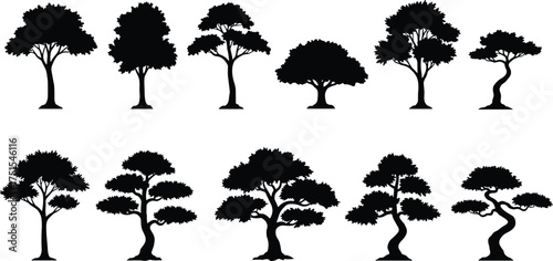 Collection of acacia and bonsai tree silhouettes, elegant black vector trees, natural landscape illustration, isolated artistic forest plant design