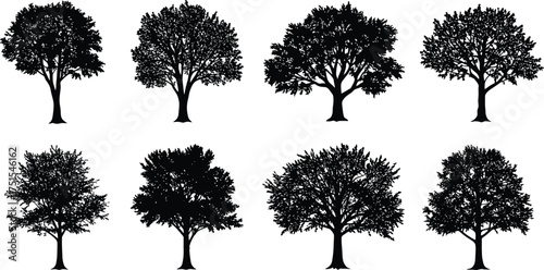 Deciduous tree silhouette collection, natural forest vector set, black woodland illustration, realistic tree shapes for landscape design and nature art