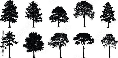 Collection of various tree silhouettes, natural forest vector illustration, detailed black shapes of pine, oak, and maple trees for design