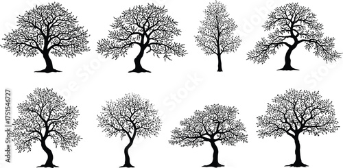 Collection of detailed tree silhouettes with branches and leaves, natural forest plant shapes for landscape design, black vector illustration art