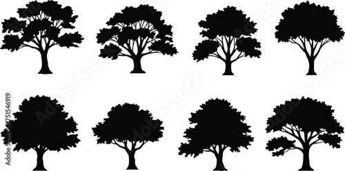 Collection of tree silhouettes isolated on white background, black vector illustration, natural forest design, oak tree shapes for landscape and art