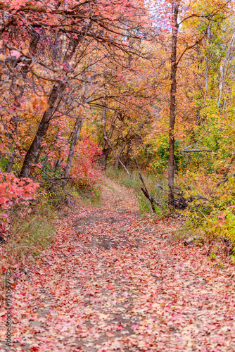 Autumn season in Utah