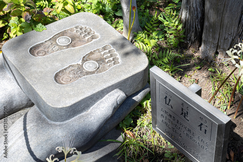 神奈川県大和市・常泉寺の彼岸花と緑に囲まれた境内の風景