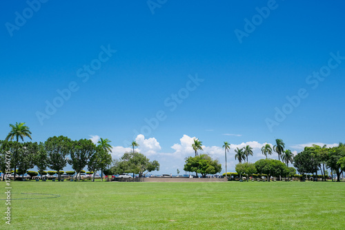 A wide landscape view of the seaside Esplanade field (Padang Kota Lama) in George Town, Penang, Malaysia. The open green lawn is framed by tropical palm trees and a blue sky with scattered clouds.