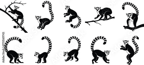 Black and white lemur illustrations in various poses including climbing, sitting, walking, and standing with striped tails and tree branches