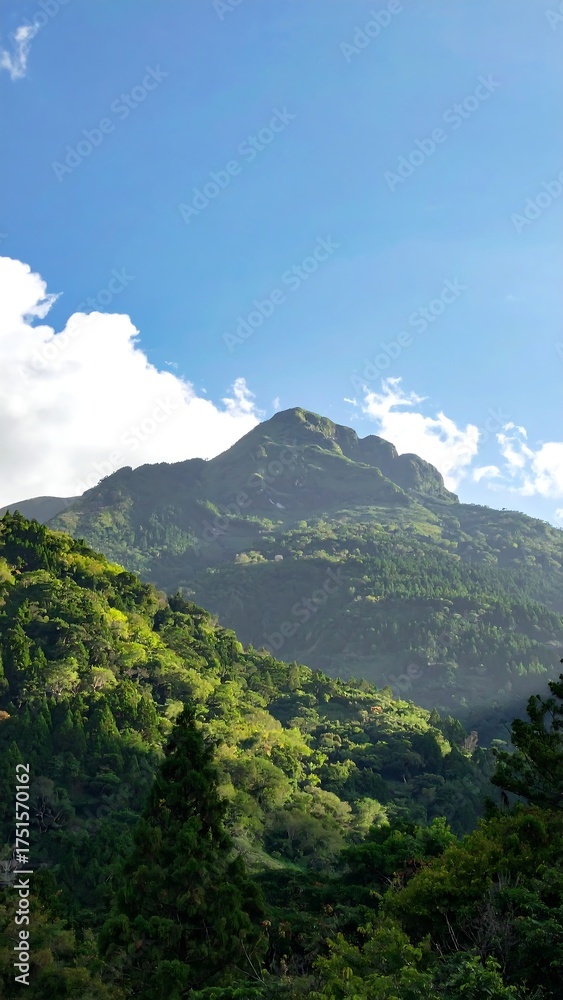 Fototapeta premium Verdant mountainscape