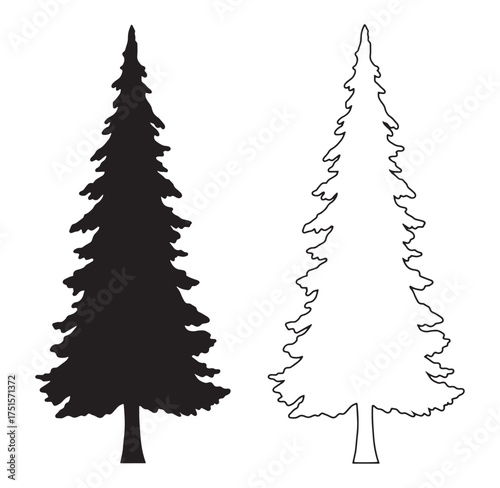 Silhouette illustrations of evergreen coniferous trees isolated on a clean white background