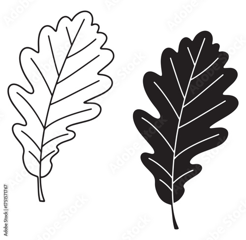 Simple black and white oak leaf designs for nature botanical decorative elements