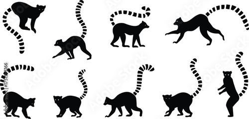 Black silhouette icons of ring-tailed lemurs in various poses showcasing movement, behavior, and anatomy for wildlife-themed design